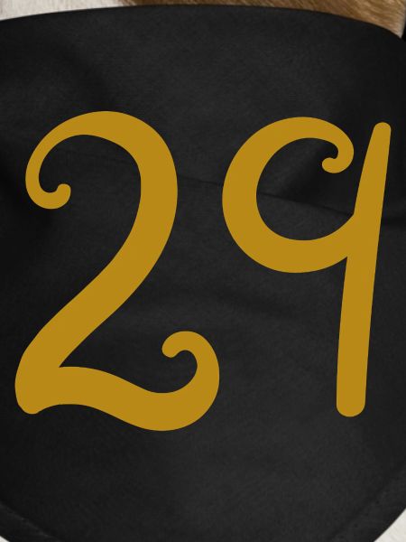 29