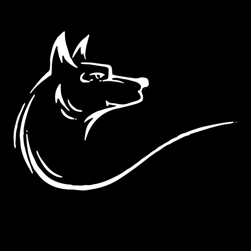 A beautiful wolf in white