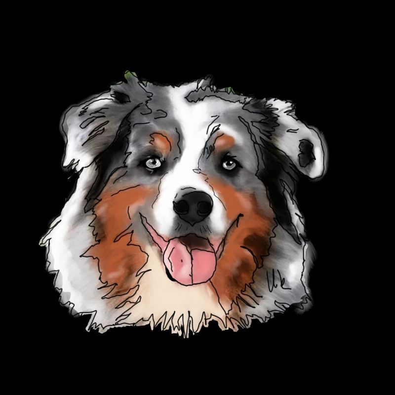 Australian Shepherd