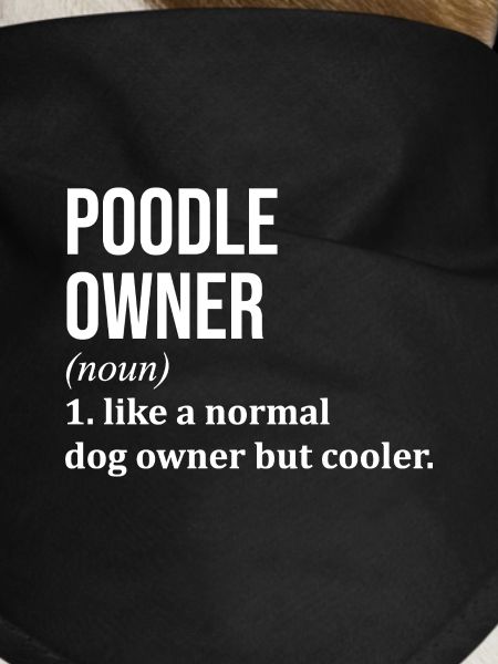 Poodle Poodle Poodle