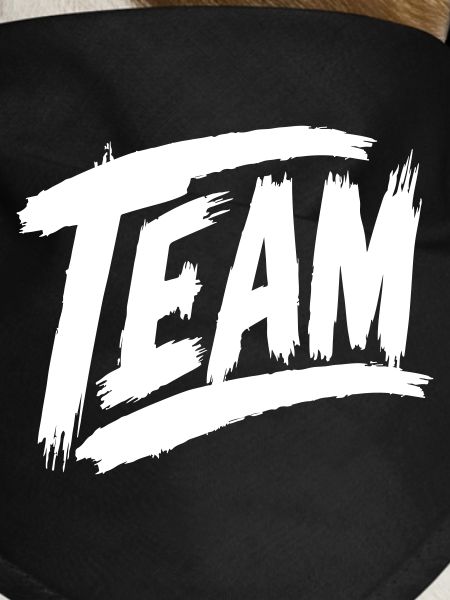 Team Schriftzug