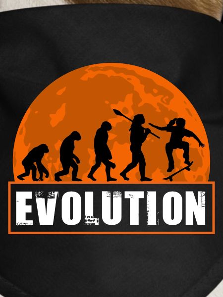 Skateboard Evolution Retro Sunset Skater