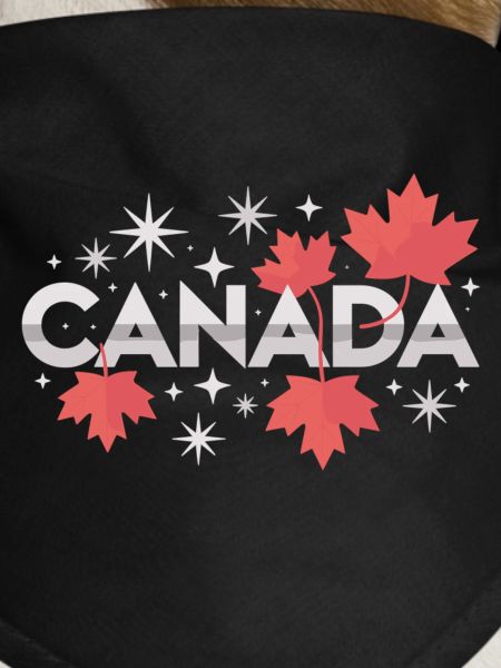 Canada Maple Leaf Gift Idea