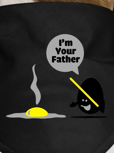 egg vader