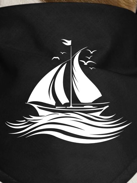 Sailing Sketch