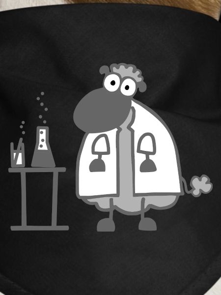 Laboratory sheep