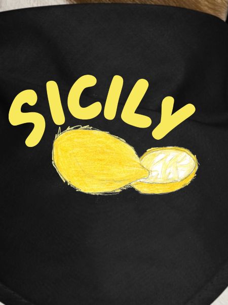 Sicily Lemons Illustration - Sicily