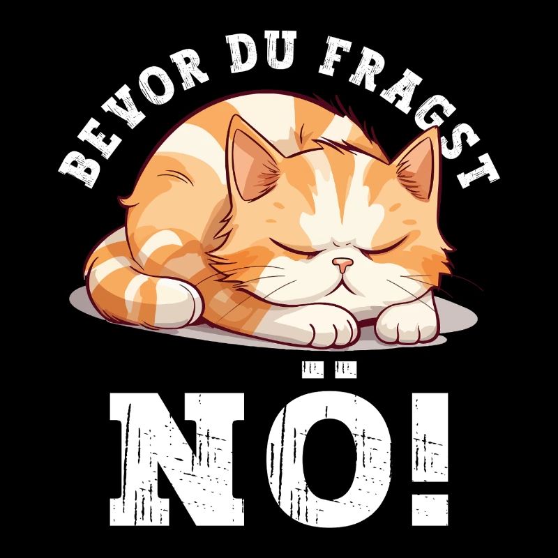 Avant de demander Non, pas de chat, drôle, dicton, humour