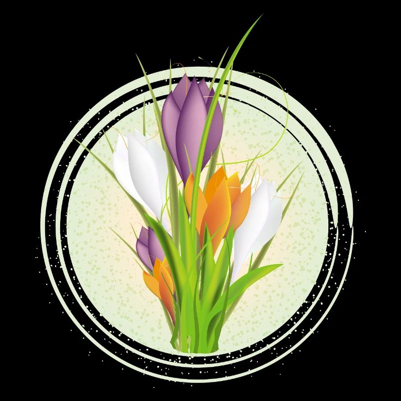 Delicate colorful crocuses in the spring circle
