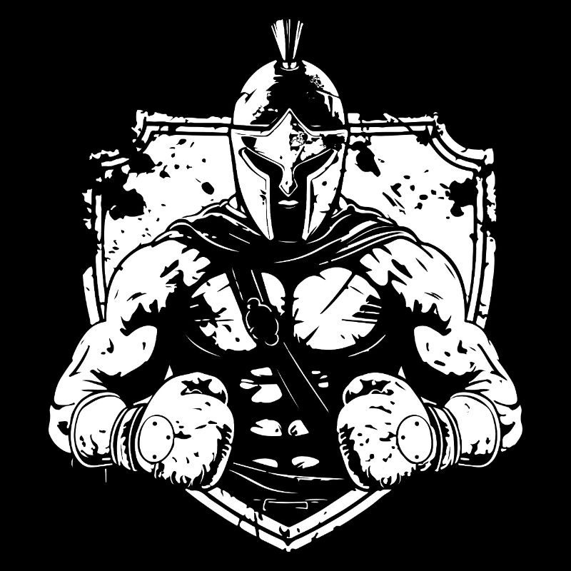Boxe Spartan MMA