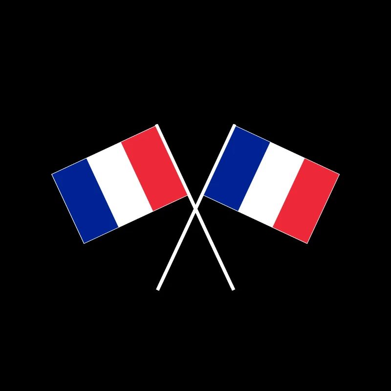 France drapeaux croisés français drapeaux
