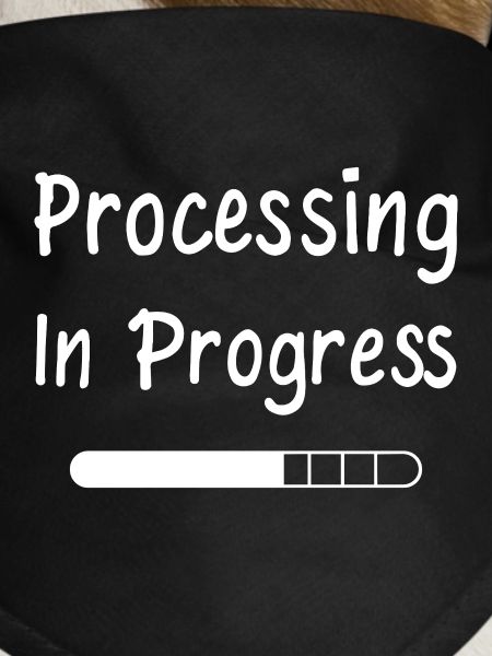 Processing In Progress Ladebalken Statement