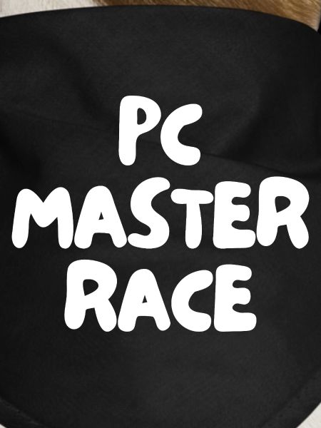 pc master race