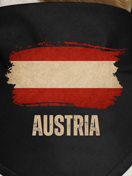 Austrian grunge flag, Austrian pride