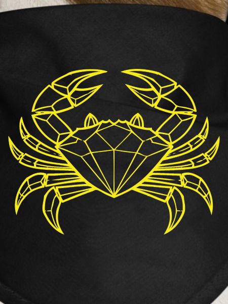 Cancer – Protection & Strength
