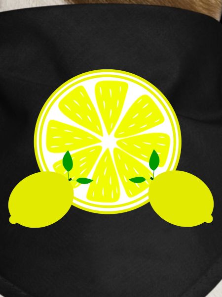 Lemon Lime Lime