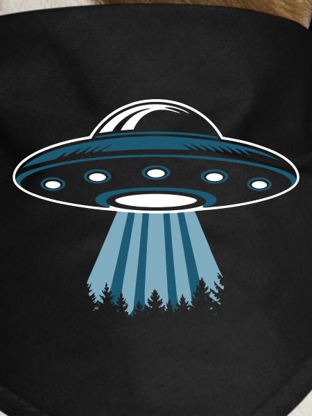 UFO Lover