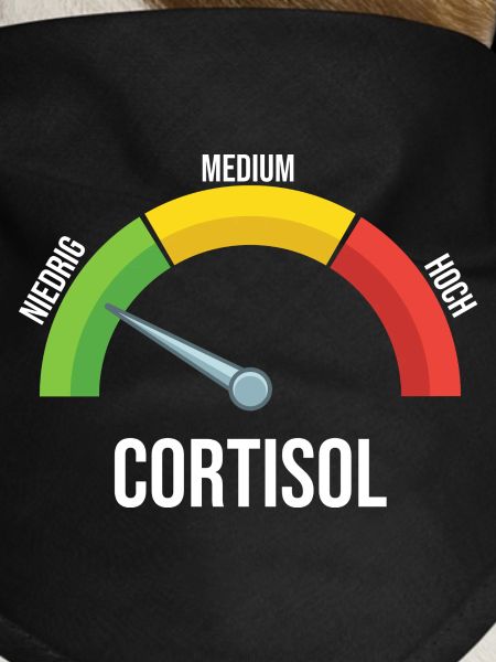 Cortisol Meter