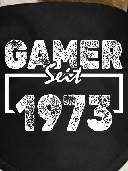Gamer 1973