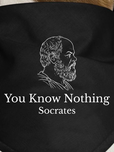 Socrates You Know Nothing