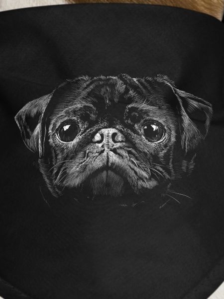 Pug