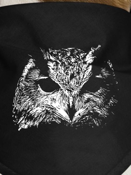 Spooky Owl
