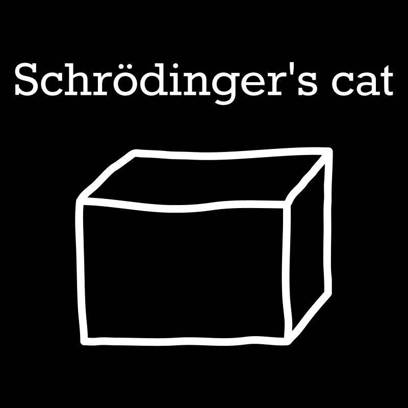 Le chat de Schrödinger – Motif culte de la physique quantique