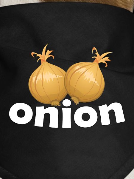 ONION