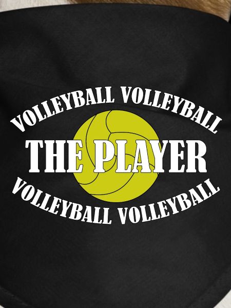 VOLLEYBALL-THE PLAYER
