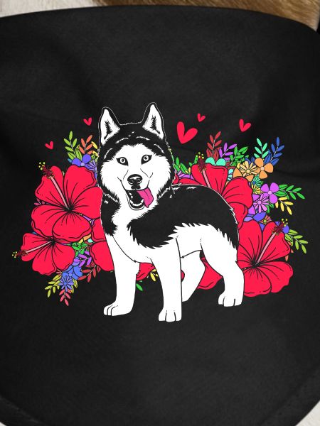 Siberian Husky