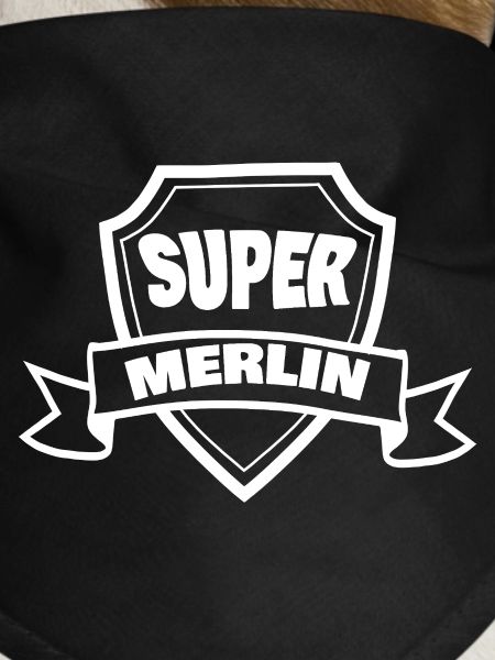 Merlin