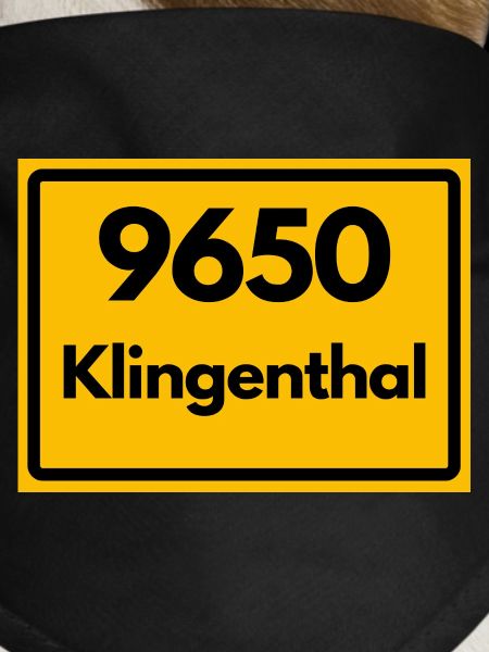 OLD POSTCODE 9650 KLINGENTHAL SAXONY