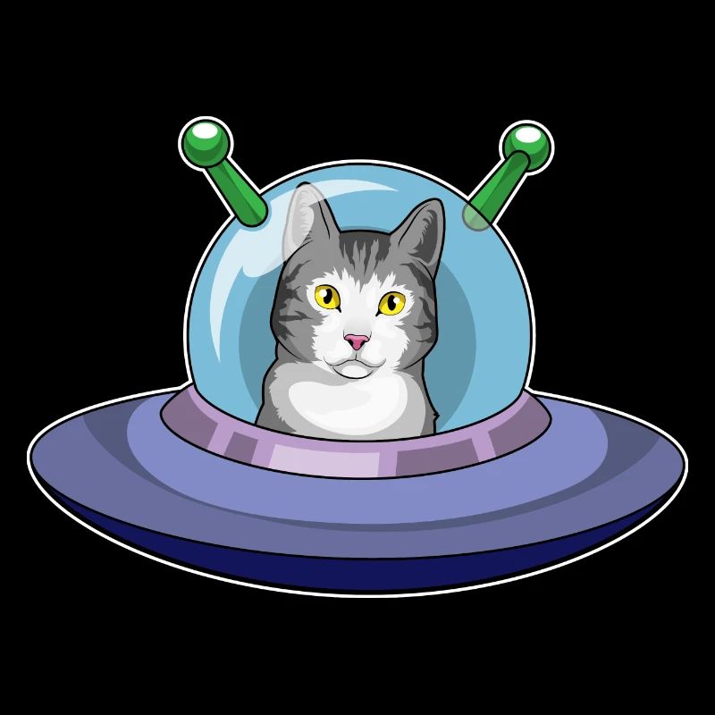 Cat Spaceship Space