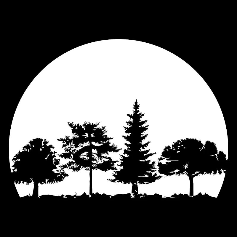 forêt, lune, forêt mixte, nature, chêne, hêtre, bouleau, épicéa