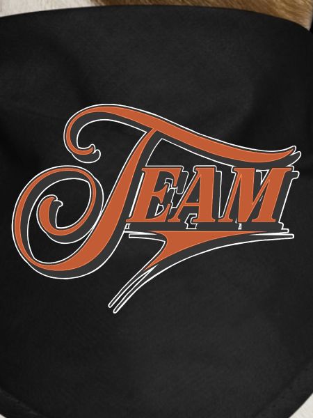 Team