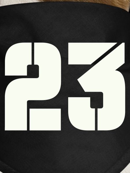 23