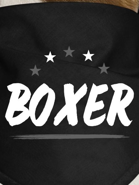 Boxer Boxen Sport