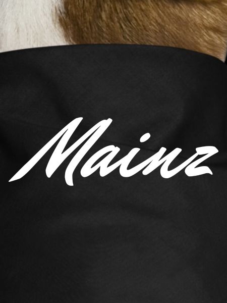 Mainz