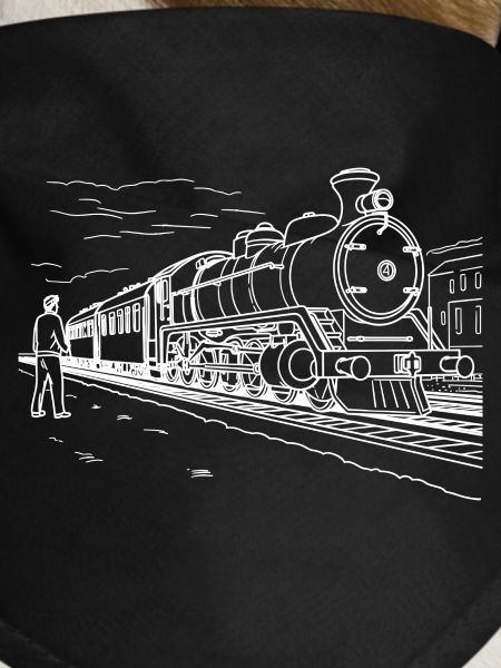Train Lover Drawing