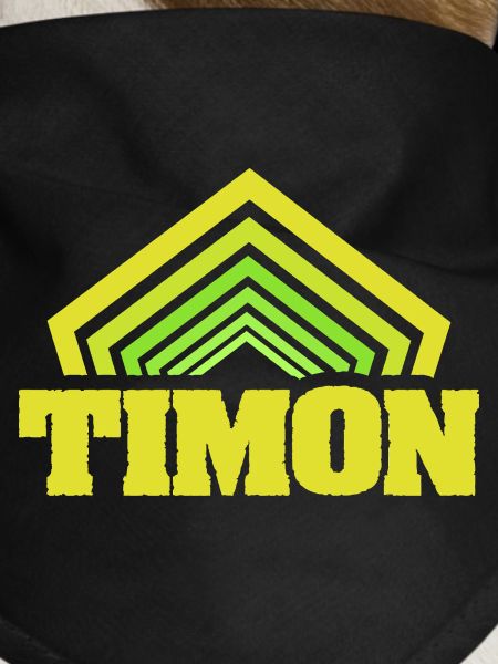 Timon