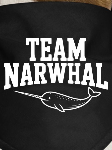 Team Narwhal