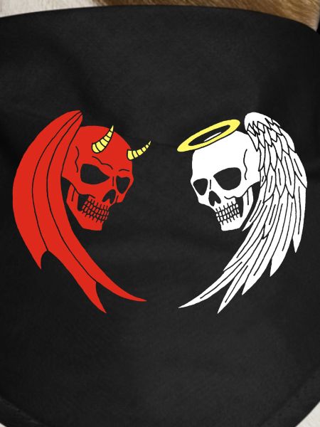 Angel and Demon Skeleton