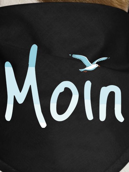 Moin Möwe