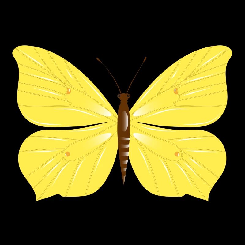 Lemon butterfly butterfly drawn by hand
