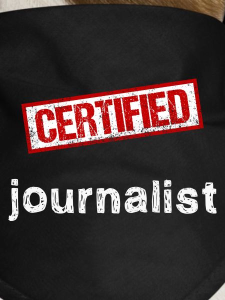 Journalist