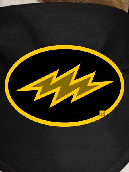bolt