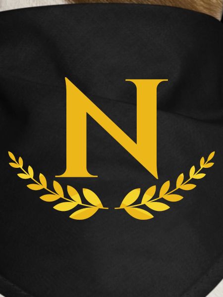 N