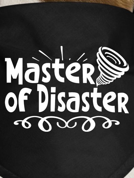 Master of disaster