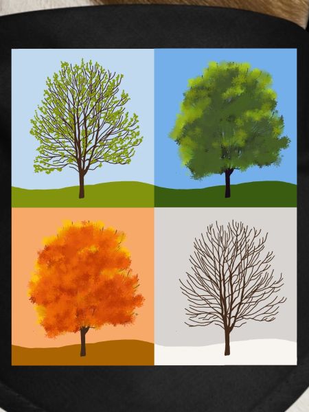 Seasons