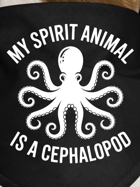 Octopus Gift Idea